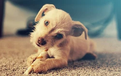 Schermafbeelding 2026-01-06 162901.png